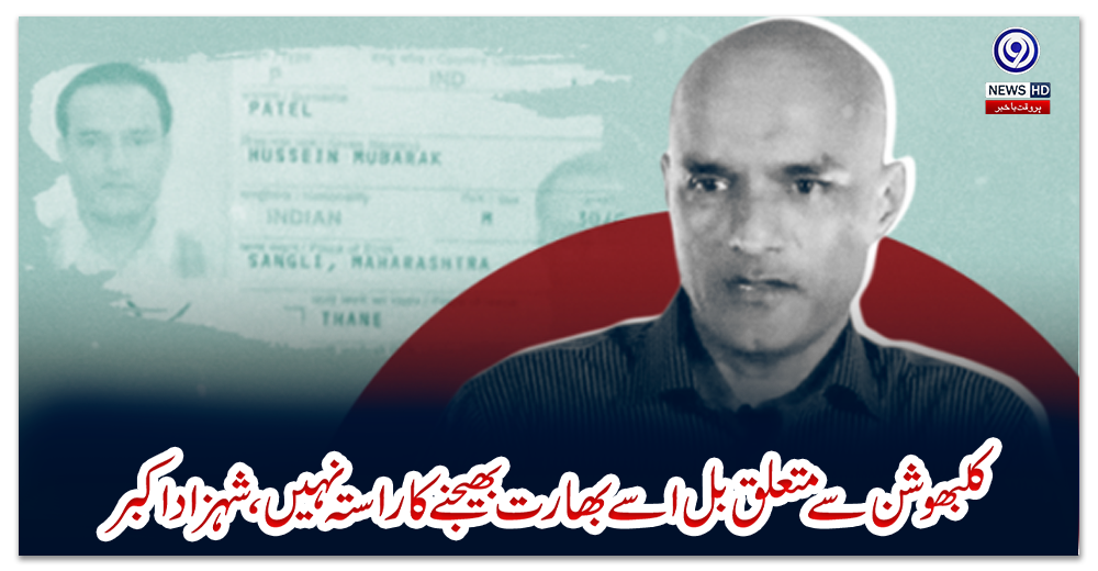 کلبھوشن-سے-متعلق-بل-اسے-بھارت-بھیجنے-کا-راستہ-نہیں،-شہزاد-اکبر