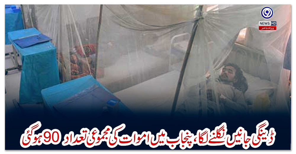 ڈینگی-جانیں-نگلنے-لگا،-پنجاب-میں-اموات-کی-مجموعی-تعداد-90-ہوگئی