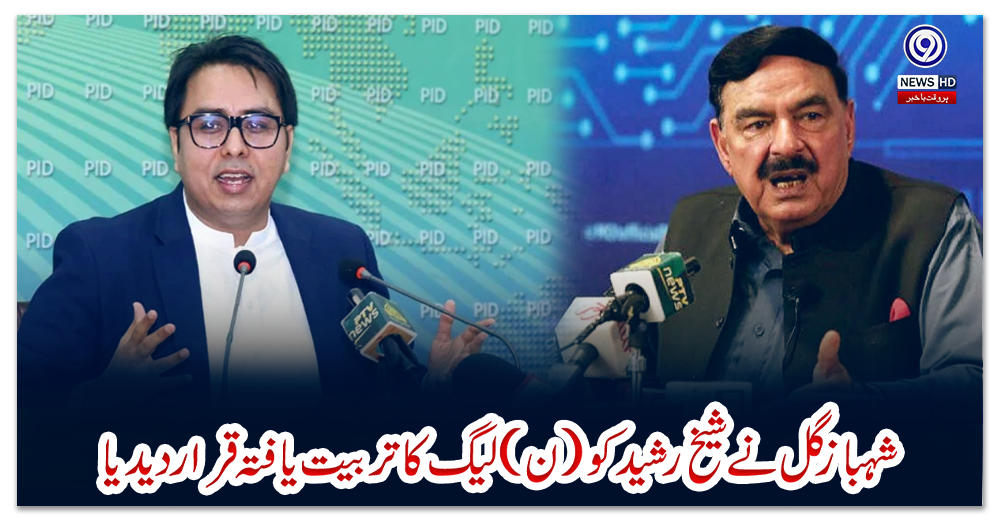 شہباز-گل-نے-شیخ-رشید-کو-(ن)-لیگ-کا-تربیت-یافتہ-قرار-دیدیا