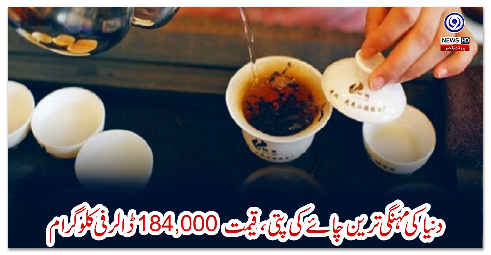 دنیا-کی-مہنگی-ترین-چائے-کی-پتی،-قیمت-184,000-ڈالر-فی-کلو-گرام