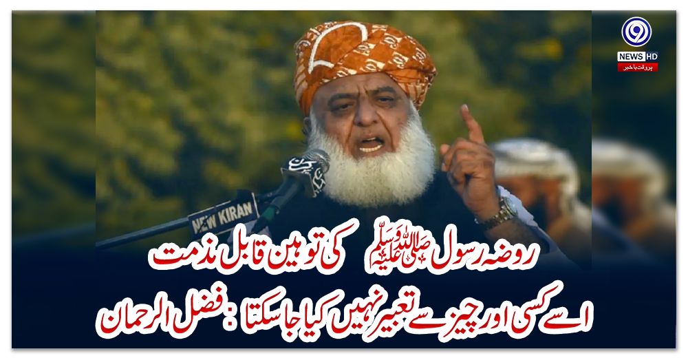 روضہ-رسول-ﷺ-کی-توہین-قابل-مذمت،-اسے-کسی-اور-چیز-سے-تعبیر-نہیں-کیا-جا-سکتا:-فضل-الرحمان