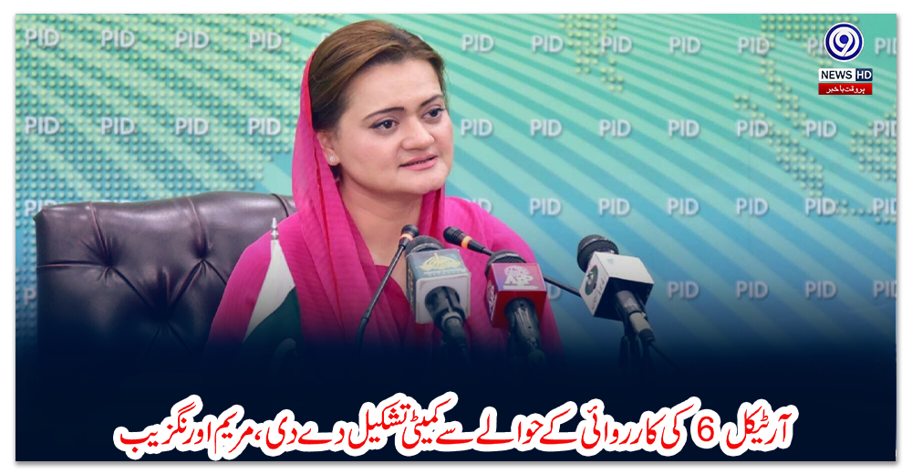 آرٹیکل-6-کی-کارروائی-کے-حوالے-سے-کمیٹی-تشکیل-دے-دی،-مریم-اورنگزیب