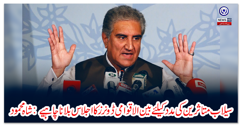 سیلاب-متاثرین-کی-مدد-کیلئے-بین-الاقوامی-ڈونرز-کا-اجلاس-بلانا-چاہیے:-شاہ-محمود