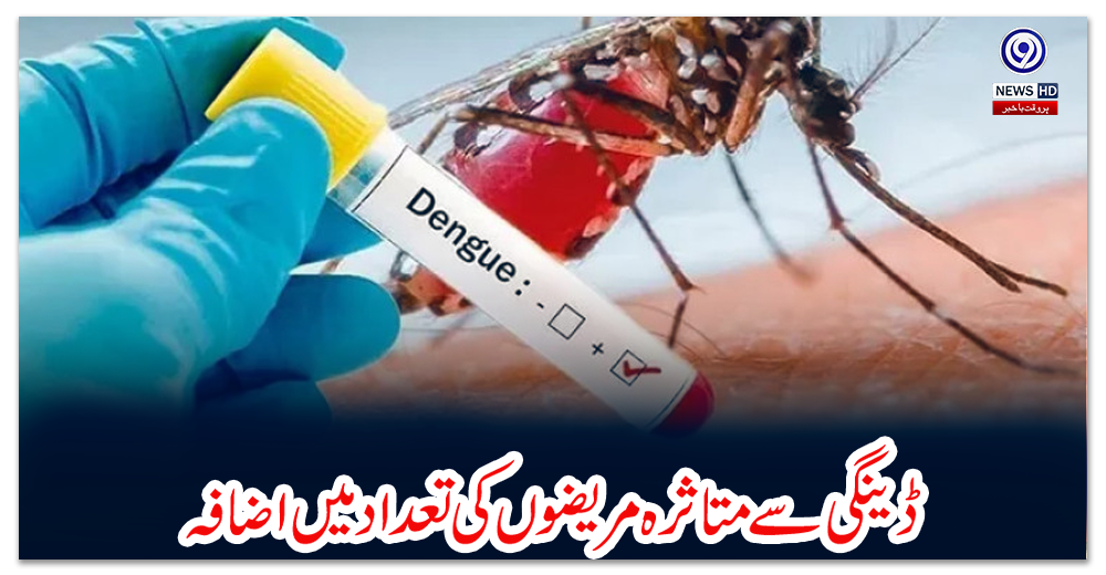اسلام-آباد-:-ڈینگی-سے-متاثرہ-مریضوں-کی-تعداد-میں-اضافہ