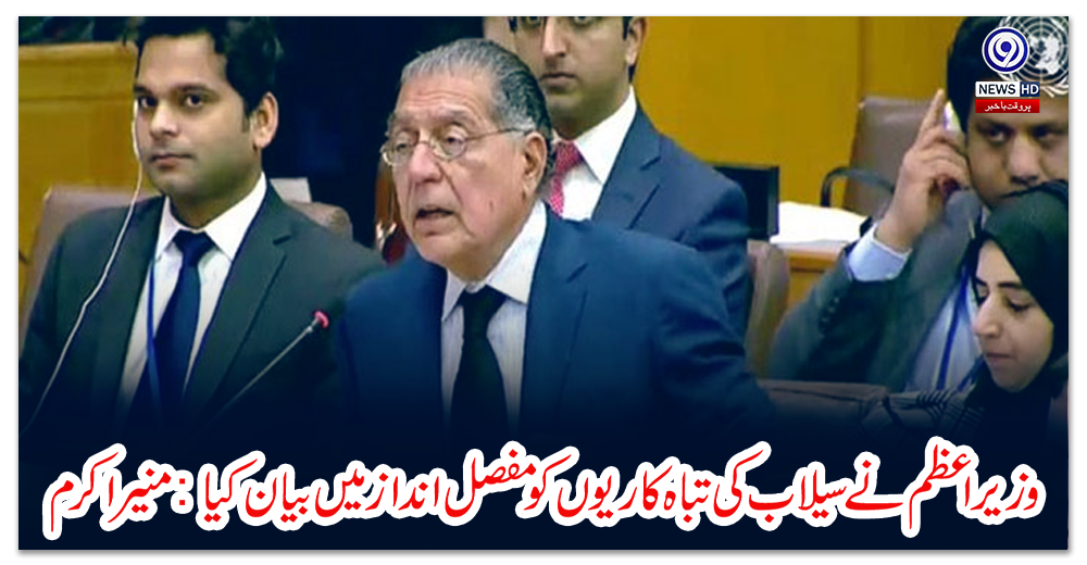 وزیر-اعظم-نے-سیلاب-کی-تباہ-کاریوں-کو-مفصل-انداز-میں-بیان-کیا:-منیر-اکرم