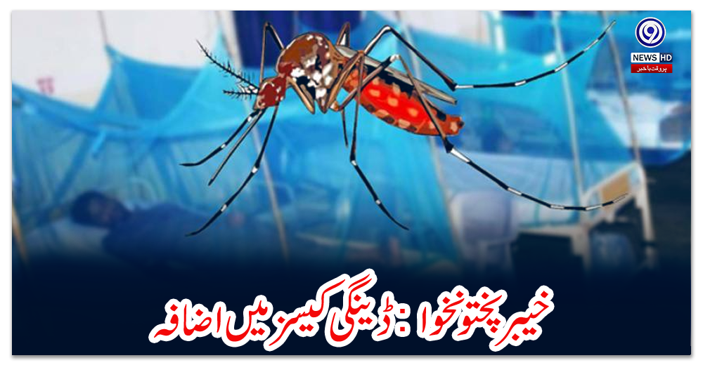 خیبرپختونخوا:-ڈینگی-کیسز-میں-اضافہ