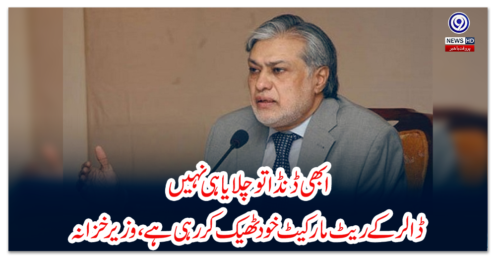 ابھی-ڈنڈا-تو-چلایا-ہی-نہیں،-ڈالر-کے-ریٹ-مارکیٹ-خود-ٹھیک-کررہی-ہے،-وزیرخزانہ