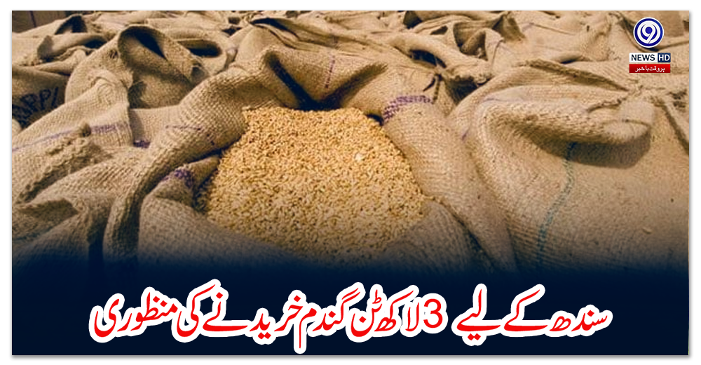 سندھ-کے-لیے-3-لاکھ-ٹن-گندم-خریدنے-کی-منظوری
