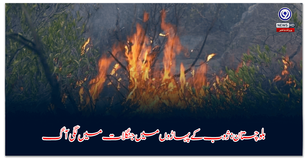 بلوچستان-ژوب-کے-پہاڑوں-میں-جنگلات-میں-لگی-آگ