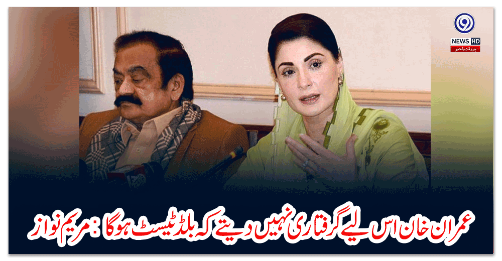 عمران-خان-اس-لیے-گرفتاری-نہیں-دیتے-کہ-بلڈ-ٹیسٹ-ہوگا-مریم-نواز