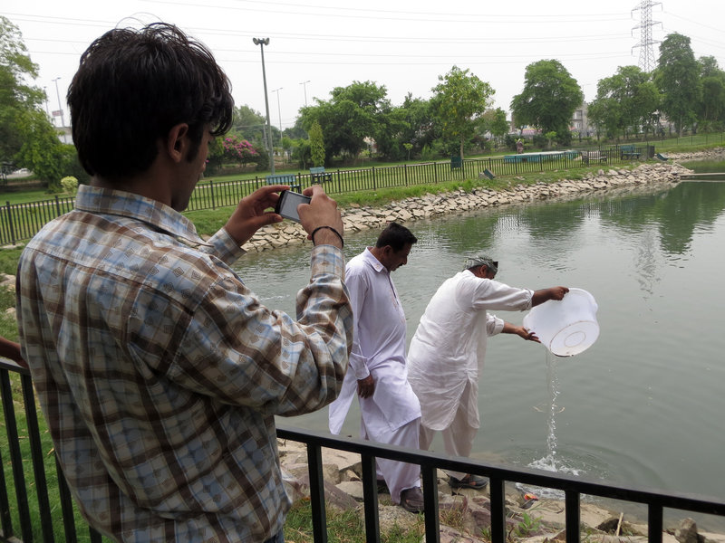 ضلعی-انتظامیہ-نے-ڈینگی-لاروا-کی-افزائش-کی-روک-تھام-کیلئے-کینال-پارک-کی-جھیل-میں-ہزاروں-کی-تعداد-میں-تلاپیہ-مچھلیاں-چھوڑ-دیں
