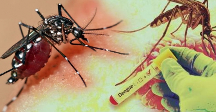 ڈینگی-وباء-کے-باعث-خزانے-پر-سات-کروڑ75لاکھ-کا-اضافی-بوجھ