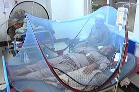 ڈینگی-مریضوں-کی-تعداد-میںکمی،-ہسپتا-لوں-میں40-داخل،46ڈسچارج