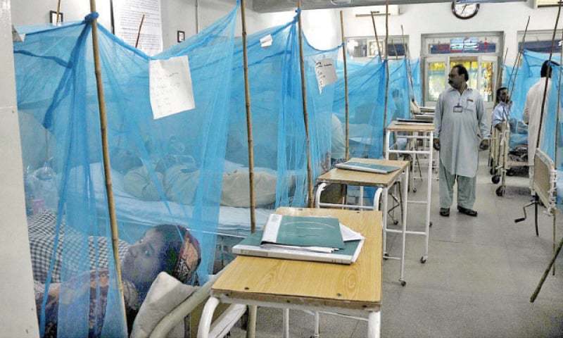 خیبرپختونخوا-میں-ڈینگی-مریضوں-کی-تعداد-7-ہزار-سے-تجاوز