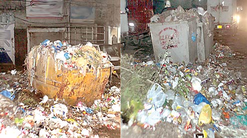 صفائی-نہ-ہونے-سے-شہر-کوڑے-کا-ڈھیر-بننے-لگا