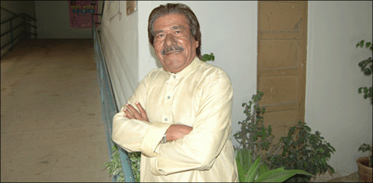 آخری-چٹان-میں-’جوجی‘-کا-تاریخی-کردار-ادا-کرنے-والے-وکیل-فاروقی-انتقال-کر-گئے