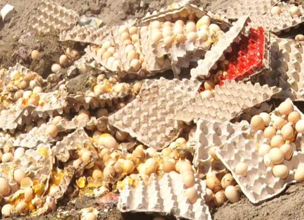 چیچہ-وطنی-میں-کولڈ-سٹور-سے-3-لاکھ-گندے-انڈے-برآمد