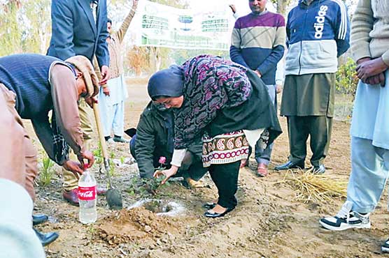 ایگریکلچر-آفس-پیرمحل-میں-شجر-کاری-مہم-کا-افتتاح