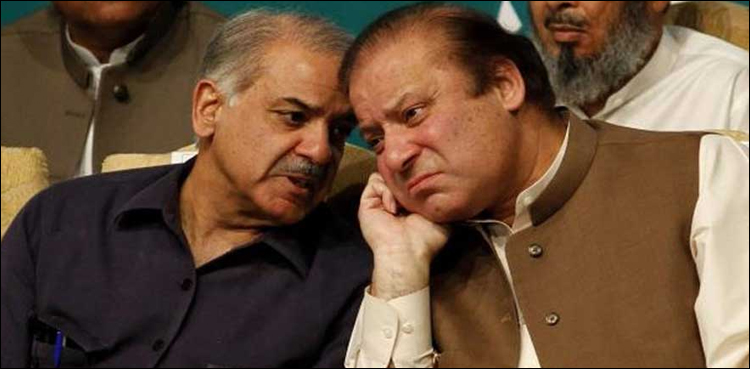 مسلم-لیگ-ن-کیلئے-بڑا-دھچکا