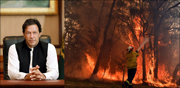 جنگلات-میں-آتشزدگی:-وزیر-اعظم-کی-آسٹریلیا-کو-مدد-کی-پیشکش