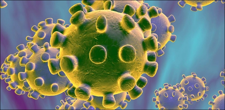 پاکستان-میں-کرونا-وائرس-کی-تشخیص-نا-ممکن-،-عالمی-لیبارٹریوں-سے-رابطہ