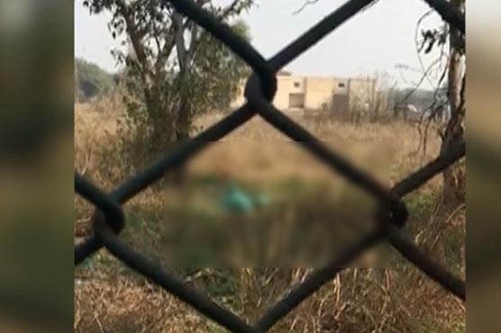 نوجوان-کی-ہلاکت:سفاری-پارک-20روز-کیلئے-بند،8اہلکار-معطل