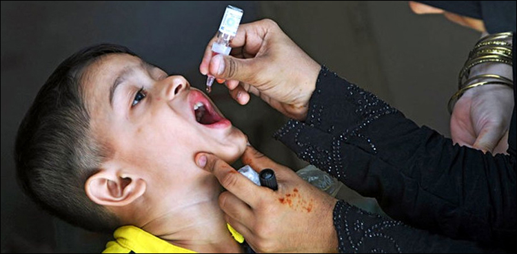 قومی-انسداد-پولیو-مہم-کی-کامیابی-کا-تناسب-100.3-فی-صد-رہا:-رپورٹ