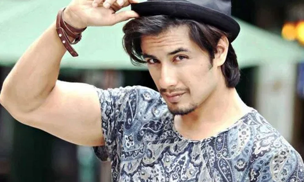 علی-ظفر-کی-ہتک-عزت-دعوی-درخواست،-فیصلہ-13-فروری-کو-ہوگا