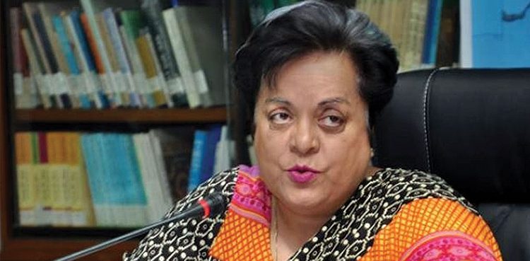 اقوام-متحدہ-نے-مشرقی-تیمور-کا-مسئلہ-حل-کیا-مگر-کشمیر-کا-نہیں:-شیریں-مزاری