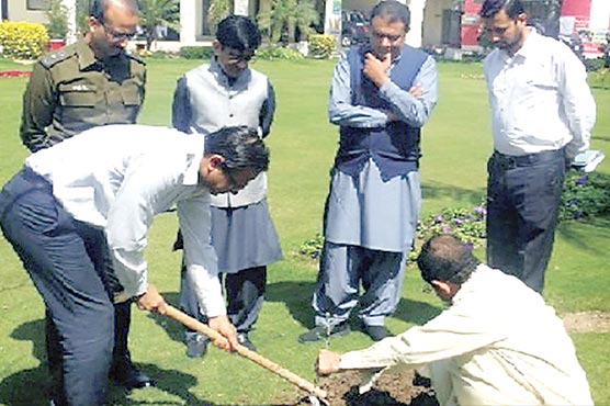 ننکانہ-:ڈپٹی-کمشنر-آفس-میں-پودا-لگا-شجرکاری-مہم-کا-افتتاح