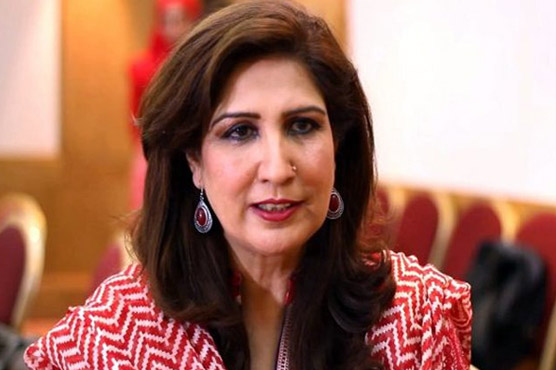 وفاق-سندھ-کو-مکمل-تعاون-فراہم-کرنے-سے-قاصر،-شہلارضا