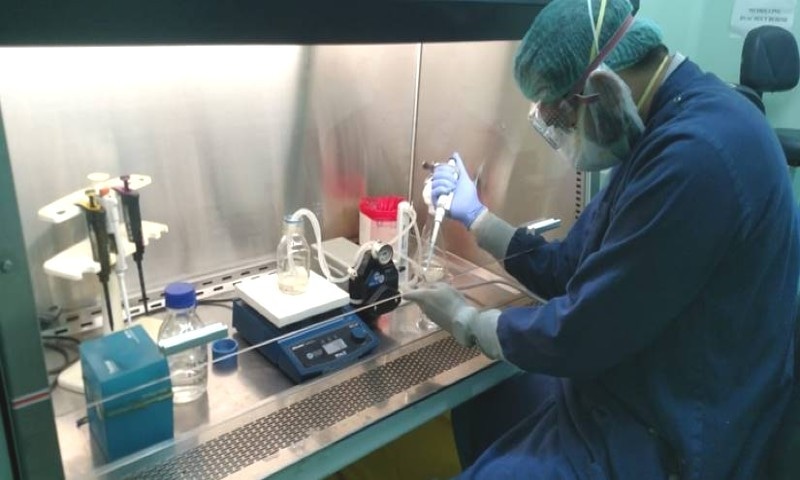 ڈاؤ-یونیورسٹی-کے-ماہرین-نے-کورونا-کا-ایک-اور-طریقہ-علاج-تیار-کرلیا