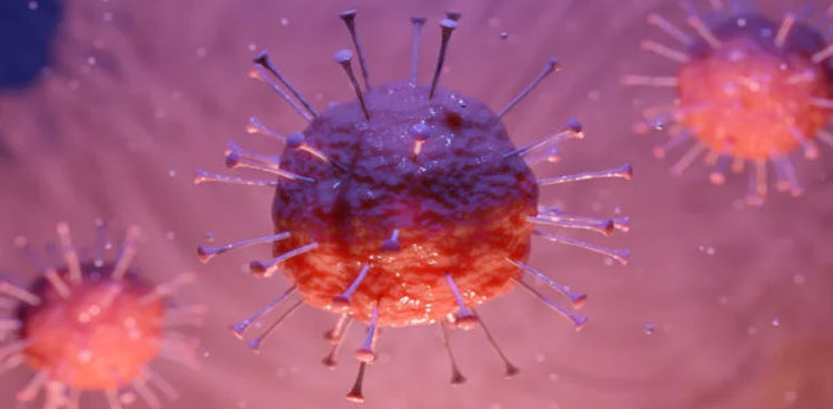 شہر-قائد-میں-24-گھنٹے-کے-دوران-کورونا-کے-مزید-84-نئے-کیسز-سامنے-آگئے