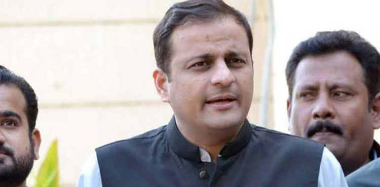 سندھ-میں-کرونا-کے-مزید-12افراد-صحتیاب-ہوگئے:-مرتضیٰ-وہاب