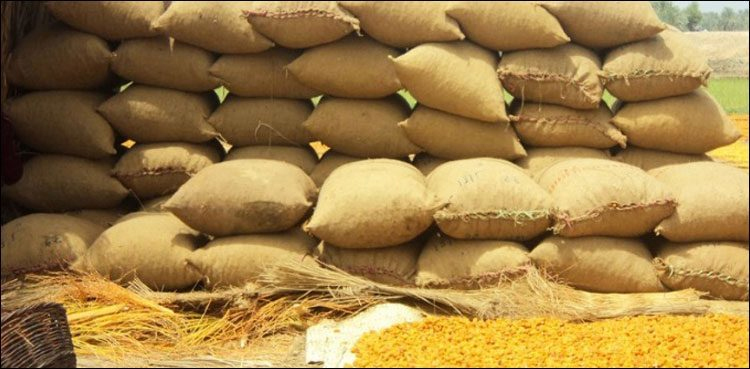 سندھ-کی-تاریخ-میں-سرکاری-گندم-کی-سب-سے-بڑی-چوری-کا-انکشاف