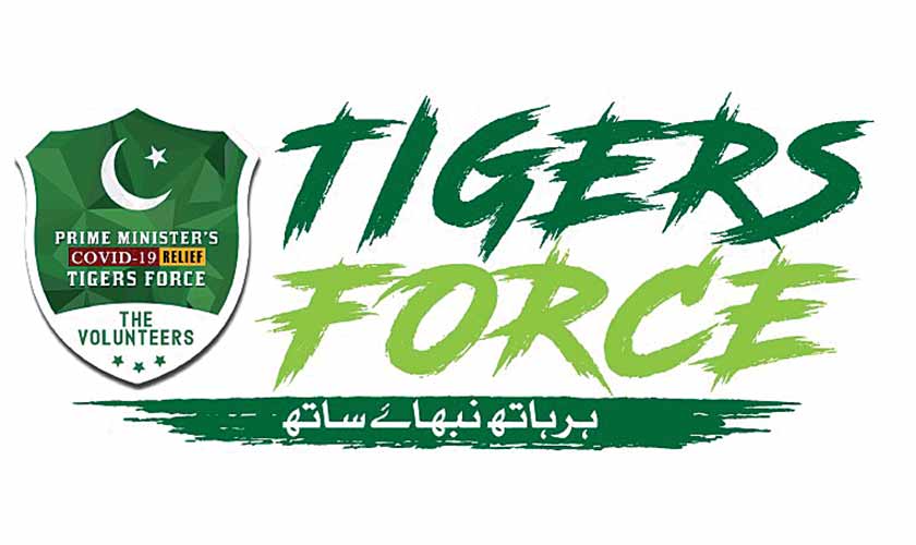 ٹائیگرزفورس-کو-سندھ-میں-متحرک-کرنے-کا-اصولی-فیصلہ