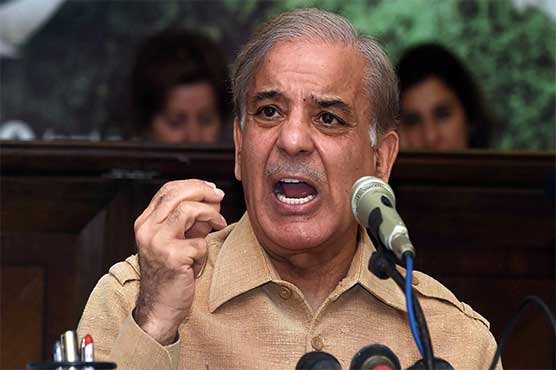 ٹڈی-دل-کے-خطرے-سے-نمٹنے-کیلئے-حکومت-سنجیدگی-دکھائے:-شہباز-شریف