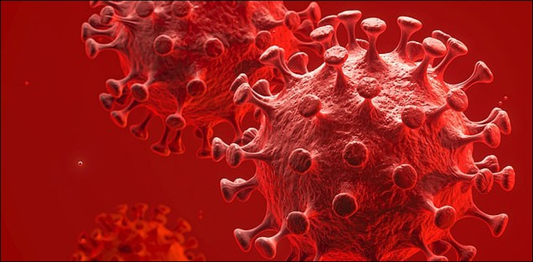 کورونا-کے-خلاف-جنگ،-برطانوی-ہائی-کمیشن-کا-پاکستان-کے-لئے-4.39-ملین-پاؤنڈ-کی-امداد-کا-اعلان