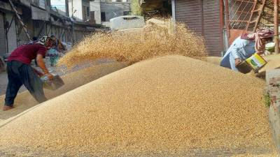 گندم-ذخیرہ-کرنیوالوں-کو-3-یوم-کی-ڈیڈ-لائن