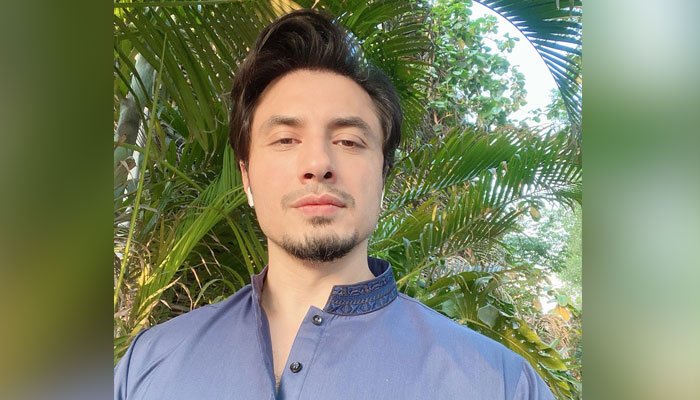 لاک-ڈاؤن-کا-طے-کرنے-میں-ہی-تین-ماہ-ضائع-کر-دیے:-علی-ظفر-کی-حکومت-پر-تنقید