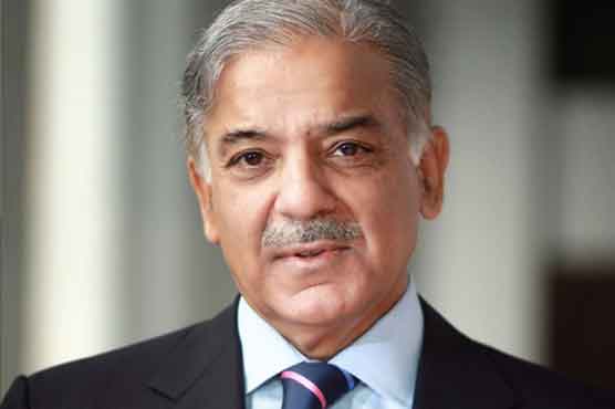 پٹرول-کا-بحران-حکومتی-نظام-کے-مفلوج-ہونے-کی-نشانی-ہے:-شہباز-شریف