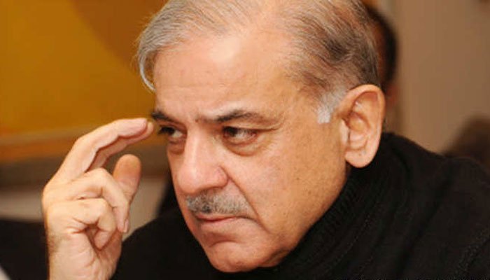 حکومت-چور-دروازے-سے-مزید-ٹیکس-لگائے-گی:-شہباز-شریف