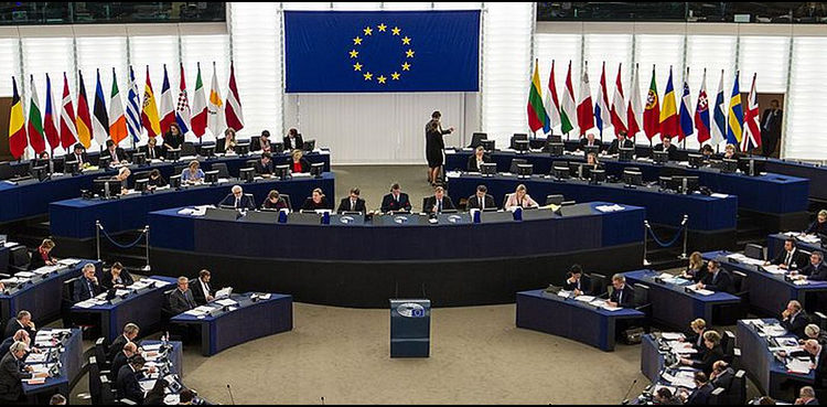 اراکین-یورپی-پارلیمنٹ-کشمیریوں-کی-حمایت-میں-بول-پڑے،-بھارت-پر-کڑی-تنقید