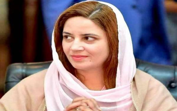 علی-گل-پیر-نے-زرتاج-گل-کے-کورونا-پر-19-پوائنٹس-کا-پوسٹ-مارٹم-کردیا،-ویڈیو-وائرل