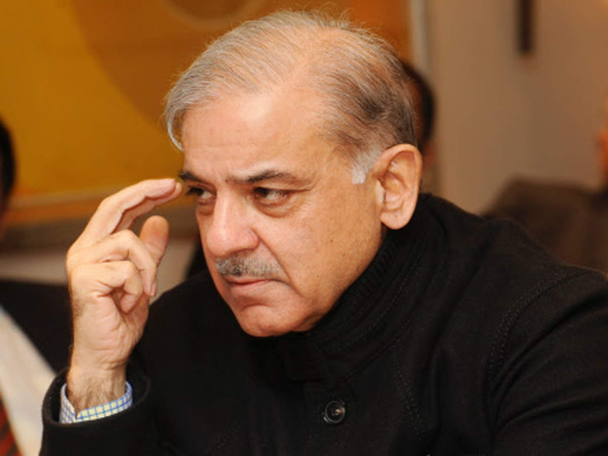چین،-پاکستان،-نیپال،-افغانستان-اور-خطے-کے-دیگر-ممالک-بھارتی-دہشت-گردی-اور-جارحیت-کا-نشانہ-ہیں-‘شہبازشریف