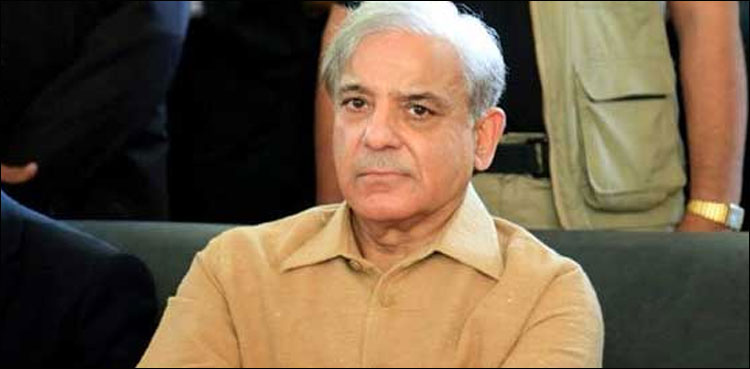 کرونا-سے-نمٹنے-کے-لیے-لوکل-گورنمنٹ-بحالی-کی-جائے:-شہباز-شریف