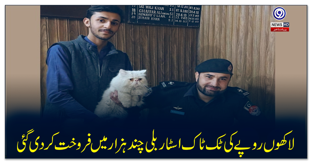 لاکھوں-روپے-کی-ٹک-ٹاک-اسٹار-بلی-چند-ہزار-میں-فروخت-کر-دی-گئی