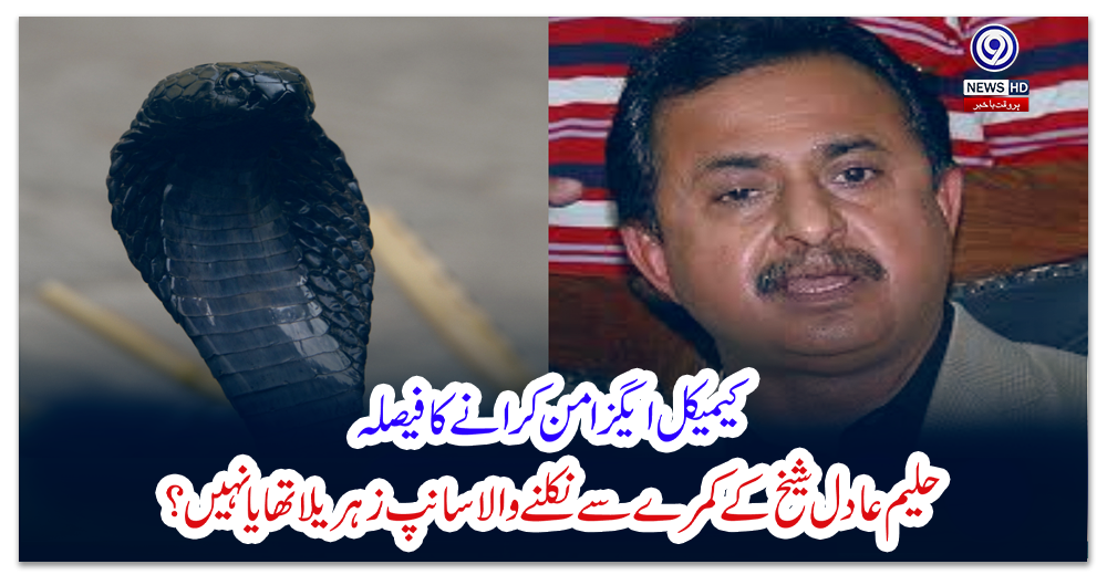 حلیم-عادل-شیخ-کے-کمرے-سے-نکلنے-والا-سانپ-زہریلا-تھا-یا-نہیں؟-کیمیکل-ایگزامن-کرانے-کا-فیصلہ