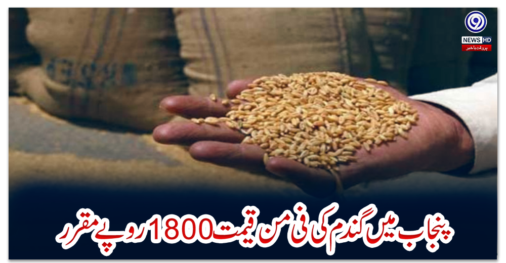 پنجاب-میں-گندم-کی-فی-من-قیمت-1800روپے-مقرر