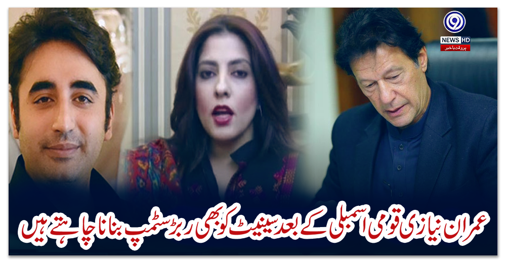 عمران-نیازی-قومی-اسمبلی-کے-بعد-سینیٹ-کو-بھی-ربڑ-سٹمپ-بنانا-چاہتے-ہیں